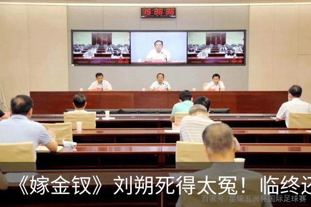 《嫁金钗》刘朔死得太冤！临终还在替魏饶铺路，才懂他骗了所有人