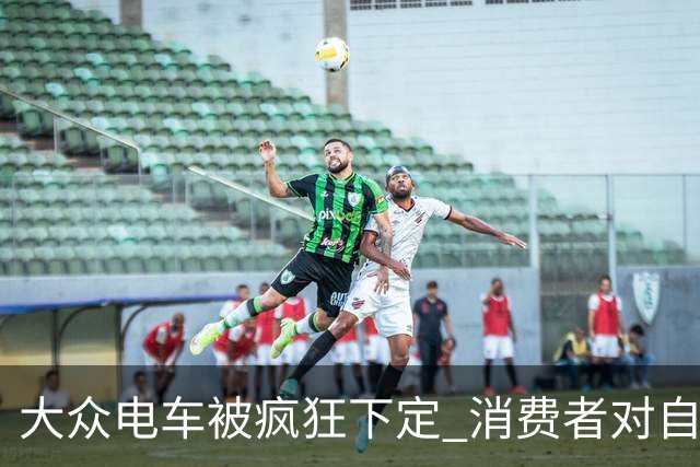 大众电车被疯狂下定 消费者对自主豪车已失望透顶