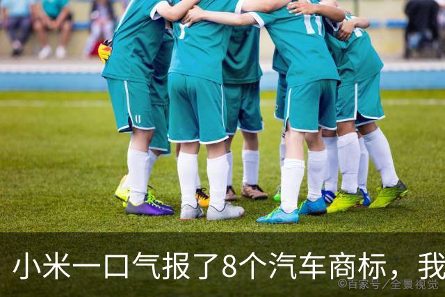 小米一口气报了8个汽车商标，我把名字排了一遍，发现一件事！