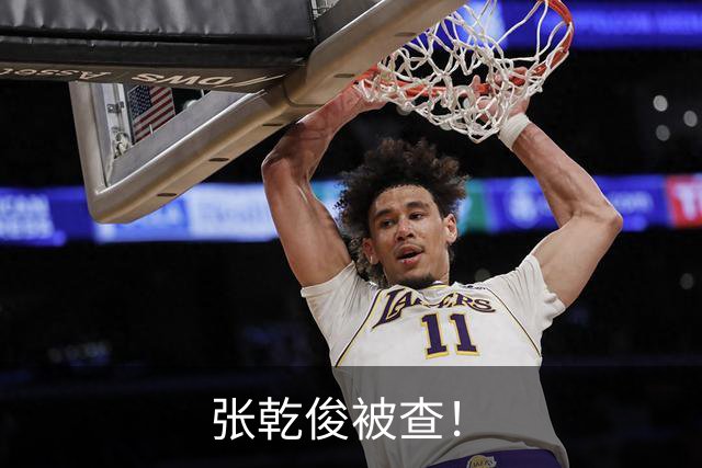 张乾俊被查！