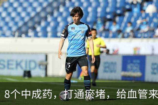8个中成药，打通瘀堵，给血管来个“大扫除”！瘀血一通，百病无踪